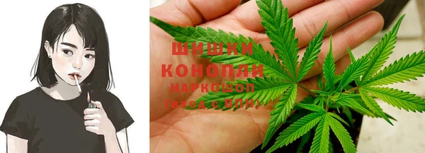 шишки Арсеньев