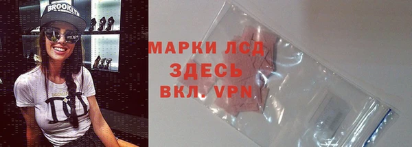 шишки Арсеньев