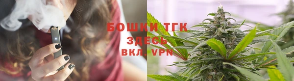 шишки Арсеньев