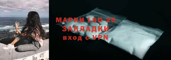 шишки Арсеньев