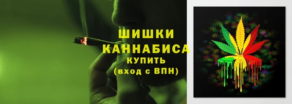 шишки Арсеньев