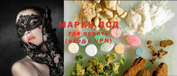 шишки Арсеньев