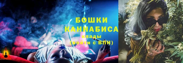 шишки Арсеньев