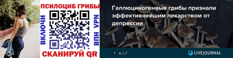 Галлюциногенные грибы прущие грибы  закладка  Петропавловск-Камчатский 