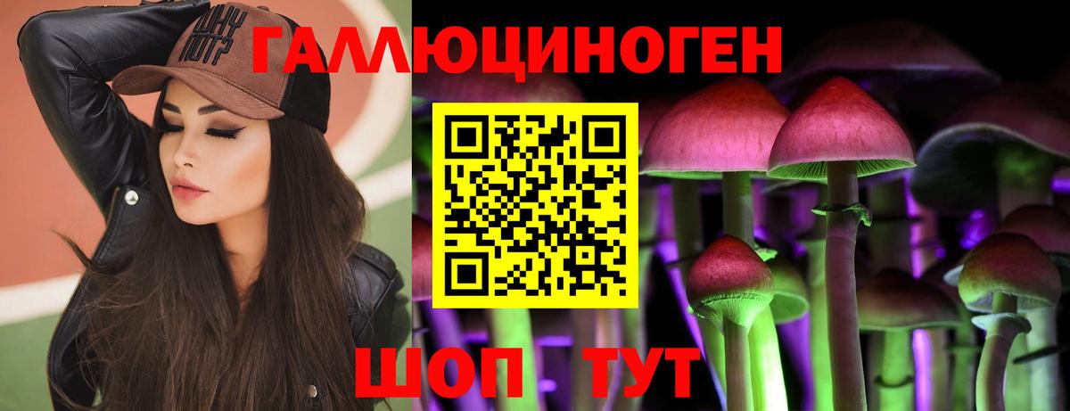 купить   Галлюциногенные грибы Psilocybine cubensis  Вход с VPN  Петропавловск-Камчатский 