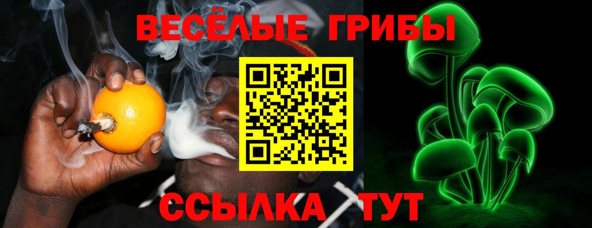 Галлюциногенные грибы Magic Shrooms Петропавловск-Камчатский